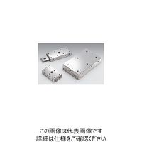 シグマ光機 直動ステンレスウェイ(インパルスウェイ) 20×60mm IPWS-F2060 1個 61-6980-51（直送品）