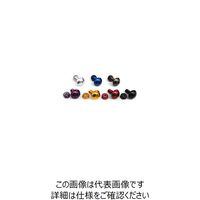 ジャパンオートプレス ライセンスプレートボルト ボタンボルトx2 ブラック DBN011BK 1PC（直送品）