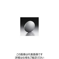 シグマ光機 LEDスポット照明 焦点距離100mm SLSI-25-100P 1個 61-6949-02（直送品）