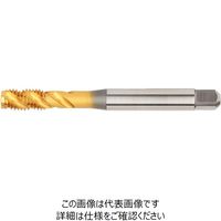 HSSーE スパイラルフルート タップ (M6X1) DIN371 精度6H(6172468) VTSFT-TC6514 WU41EG（直送品）