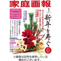 家庭画報 2022発売号から1年（月刊誌）雑誌定期購読