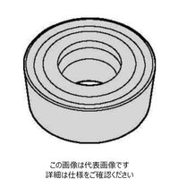 WIDIA 旋削用インサート(4170752) RCMT10T3M0 WP35CT 1セット(10個)（直送品）