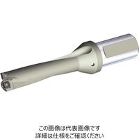 WIDIA スローアウェイドリル Top Cut 4 (4xD) SLRシャンク(5577945) TCF175R4SL25MB 1本（直送品）