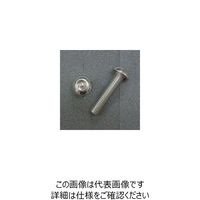 JP Moto-Mart TRXボルト ボタンタイプ （2本入り） M10x40mmxP1.5 1PC DBX1040（直送品）