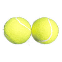マルシン産業 硬式テニスボール イエロー NSX-045 1セット（直送品）