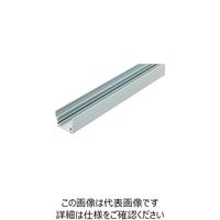 イマオコーポレーション ELESA RLTアルミレール RLT-AL-1620 1個 212-6970（直送品）