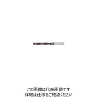 グーリングジャパン HSSーSD Fコート #2456 2456 10.6 1セット(2本)（直送品）