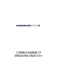 グーリングジャパン HSSーTDホモシヨリ #245 245 24.75 1本（直送品）