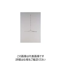 岩田製作所 IWATA シャフトビームH11B H11B500X50-500 1本 223-0360（直送品）