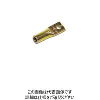 岩田製作所 IWATA スクリューキャップ(25個入) MT20 1箱(25個) 221-4578（直送品）