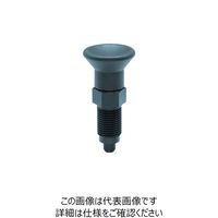 イマオコーポレーション kipp インデックスプランジャー(ストレート、ハイポジションタイプ) HPNDX20S 1個 212-2190（直送品）