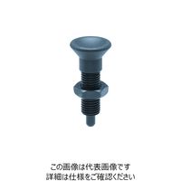 イマオコーポレーション（IMAO） kipp インデックスプランジャー（ロングストローク） SDXNE6W 1個 212-8534（直送品）