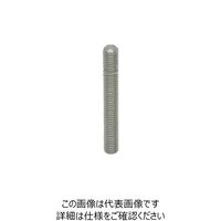 イマオコーポレーション（IMAO） kipp グラブスクリュー GS06040-SUS 1個 806-1174（直送品）