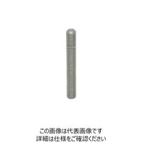 イマオコーポレーション（IMAO） kipp グラブスクリュー GS06060-SUS 1個 806-1178（直送品）