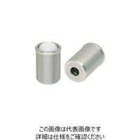 イマオコーポレーション（IMAO） kipp ステンレスケースプランジャー（重荷重用） SBPHJ8 1個 214-6397（直送品）