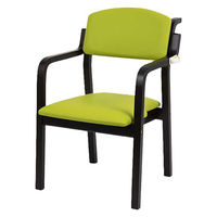 オフィス・ラボ エコノチェア ウッディ 抗ウイルスコーティング 木部:ダーク 張地:グリーン EC-WD24SEDKGR 1脚 O1096（直送品）