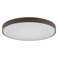 アイリスオーヤマ シーリングライト 12畳 調光調色 ウッドフレーム CEA12DL-7.0WFM 1台（直送品）