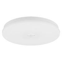 アイリスオーヤマ 小型シーリングライト 薄形 2000lm 昼光色 人感 SCL20D-MS-U2 1個（直送品）