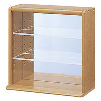 ナカバヤシ コレクションケース ミニ ブラウン CCM-N001S 1台