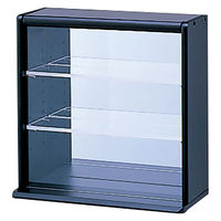 ナカバヤシ コレクションケース ミニ ブラック CCM-N001BK 1台