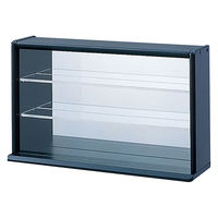 ナカバヤシ コレクションケース ミニワイド ブラック CCM-N002BK 1台