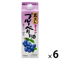 【アウトレット】東亜酒造 蔵出し まろやかブルーベリー酒 1000ml 1セット（6本）