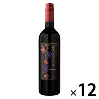 チリ ナティバ カルメネール 赤ワイン　フルボディ　750ml 1セット（1本×12）　日本酒類販売