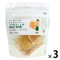 有機素材 ドライフルーツ チャック付 小袋 BIONOWA オーガニック ドライジンジャー（砂糖漬け生姜）  1セット（1個×3）
