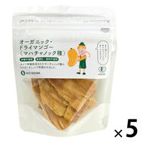 有機素材 ドライフルーツ 小袋 BIONOWA オーガニック ドライマンゴー　（マハチャノック種）  1セット（1個×5）