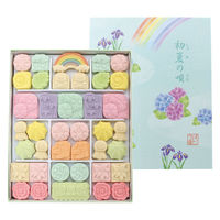 〈ばいこう堂〉初夏の唄一段 1箱 和菓子 和三盆 干菓子 手土産 ギフト 母の日