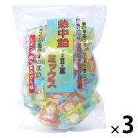 キャンディ 塩分チャージ 個包装 お配り菓子 熱中飴ミックス　スタンドパック 1セット（1個×3）