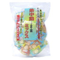 キャンディ 塩分チャージ 個包装 お配り菓子 熱中飴ミックス　スタンドパック 1個