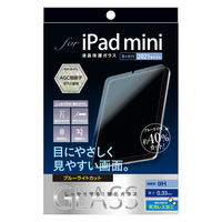 ナカバヤシ iPad mini (第6世代/A17 Pro)ガラス ブルーライトカット TBF-IPM21GKBC 1個