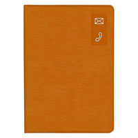 ダイゴー 大きく書けるアドレス ベージュ G6938 1セット(1冊×2)（直送品）