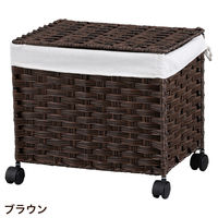 Habiter(アビテ) ストレージカート L FD-202-BR 1個（直送品）