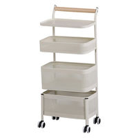 Habiter(アビテ) ピヴォ・トローリーラック ZK-901-IV 1個（直送品）