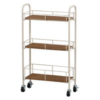 Habiter(アビテ) スレン・スリムカート ZU-601-IV 1個（直送品）