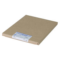 オキナ 画用紙すみれ G9 1包（直送品）