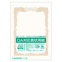 オキナ OA対応賞状用紙 SXーA5Y 1セット(1包×10)（直送品）