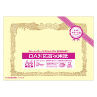 オキナ OA対応賞状クリームSYーA4 SYーA4 1セット(1包×10)（直送品）