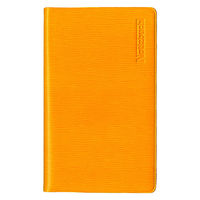 ダイゴー スプラッシュ手帳 7mm横罫 19行 イエロー A1069 1セット(1冊×2)（直送品）