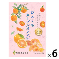 ドライフルール　食べきりサイズ ひとくちネーブルオレンジ　24g 1セット（1個×6）