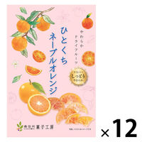 ドライフルール　食べきりサイズ ひとくちネーブルオレンジ　24g 1セット（1個×12）