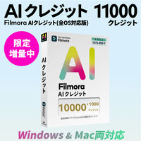 ワンダーシェアーソフトウエア AIクレジット 11000 WS-FAI10000JP 1本（直送品）