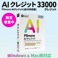 ワンダーシェアーソフトウエア AIクレジット 33000 WS-FAI30000JP 1本（直送品）