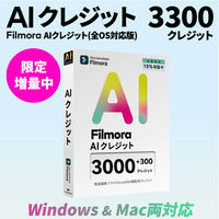 ワンダーシェアーソフトウエア AIクレジット 3300 WS-FAI3000JP 1本（直送品）