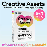 ワンダーシェアーソフトウエア クリエイティブアセット6ヶ月プラン WS-FCA180JP 1本（直送品）