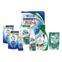 シキシマ 快適部屋干しアリエールギフト HLG-40F 1個（直送品）