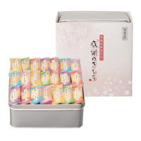 大阪前田製菓 感謝のきもち OTN-30 1個（直送品）