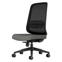 【組立設置込】Lamex EZ メッシュチェア 肘なし ランバーサポート カーペット用 ブラック×グレー 1脚（直送品）